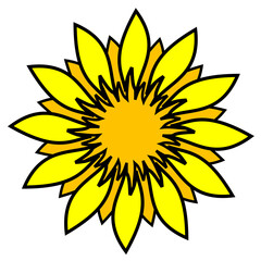 yellow sunflower isolated on white