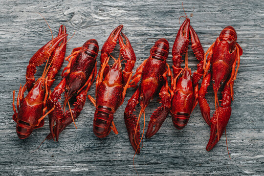 some cooked crayfish arranged in a line