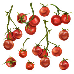 A large set of red cherry tomatoes on a twig. Digital illustration on a white background. Applicable for packaging design, postcards, prints, textiles.