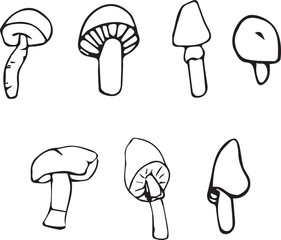 Set mushrooms line art. Vector illustration of mushrooms. 