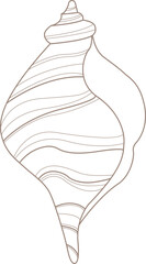 Seashell doodle illustration for decoration on marine life ,summer holiday and coastal concept.