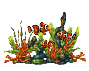 Naklejka premium A bright composition with an underwater world. Red coral, seaweed, tropical clown fish. Digital illustration on a white background. For printing, stickers, posters, postcards, prints