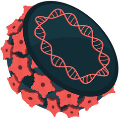 Internal model of human papillomavirus cell HPV