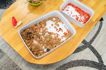 Sensory game with dried pits and nuts