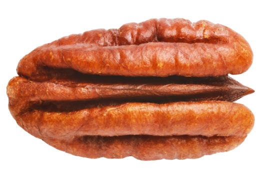 Pecan walnut kernel isolated close up