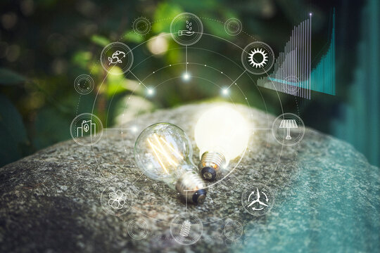Illuminated light bulbs on rock