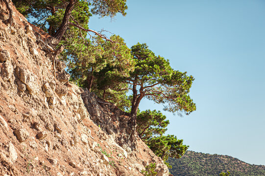 Mountains, rocks, large stones and trees in the area of Balaklava, Sevastopol and Admiralty Beach
