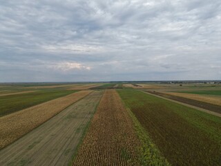 Field