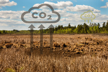 Atmosphere natural carbon cycle concept. Forests absorbs carbon dioxide, dried peat lands release...