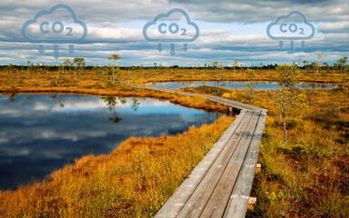 Carbon capture concept. Hiking trail trough the peat bog, which is a natural carbon deposit. Two...