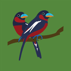 Black and red Broadbill bird-vector artowrk