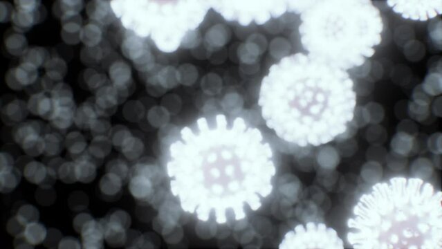 Viewing the navirus under a digital microscope