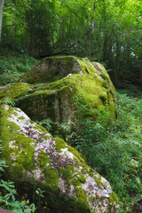 Boulders covered with green moss in the forest