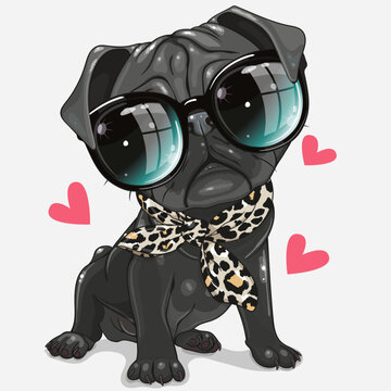 Black Pug Dog with glasses and scarf