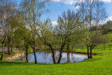 A small pond surrounded by trees near Wiesbaden/Germany in the Rheingau on a sunny spring day