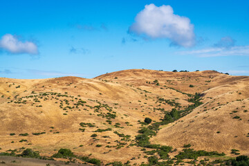 Hilly Vistas at Fort Ord National Monument