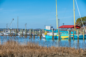 Colorful sailboat docked along fishing boats