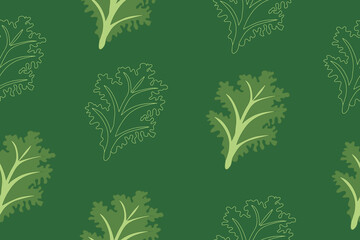 Curly kale, dark green leafy vegetable. Leaf cabbage vector illustration. Green leafy vegetables seamless. Healthy diet, vegetarian food salads, textile print. Vector 