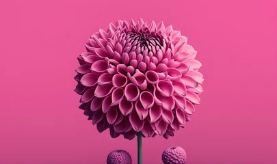 Foto op Canvas  a large pink flower sitting on top of a pink table next to two smaller pink balls on a pink surface with a pink wall in the background.  generative ai © Shanti