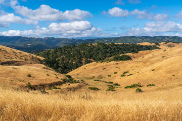 Fototapeta premium Hilly Vistas at Fort Ord National Monument