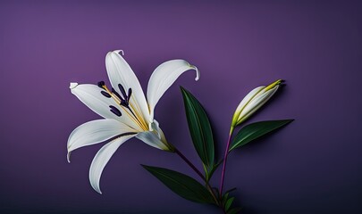  a white flower with a green stem on a purple background with a purple background and a purple background with a white flower and green leaves.  generative ai