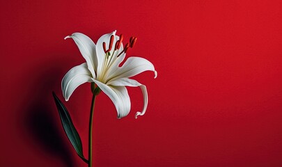  a single white flower on a red background with a green stem in the center of the flower, with a red background behind it, and a black stem in the center of the.  generative ai