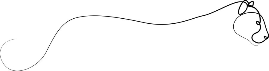 Puma or lioness abstract continuous line drawing. Wildlife vector illustration. © ad_stock