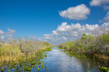 View of a small river inside Everglades park in Florida USA