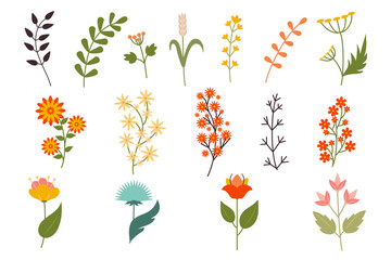 Big set of wildflowers and herbs. Flowers, botanical elements. Hand drawn grass. Thin branches of plants, trees. Floral Herb Design elements. Spring botanical vector illustration