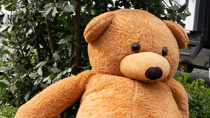 A huge bear toy left on the street in front of the tree. Teddy bear