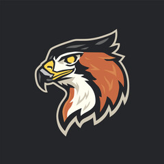 Ornate hawk-eagle head vector illustration template. Winged predator mascot logo clip art. Can be used for labels, signs, or stickers.