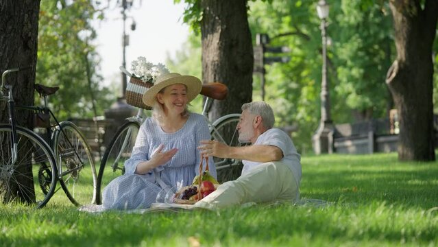 Cheerful couple in their 60s joking and laughing during picnic in summer park
