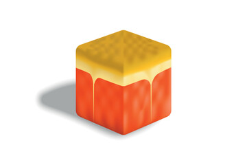 Realistic 3D cube fruit, Grapefruit.