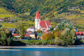 Weibenkirchen village with vineyards in Wachau valley, Austria