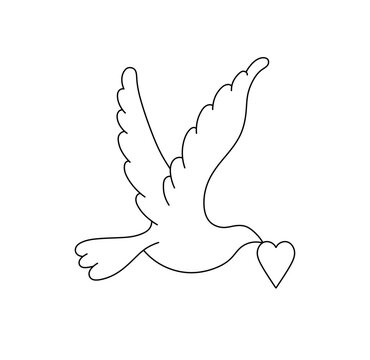 recommend clip art: Vector isolated one single simple flying bird pigeon dove with heart in beak colorless black and white contour line easy drawing