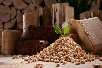 Green leaf on pellets stack near firewood and biomass briquettes