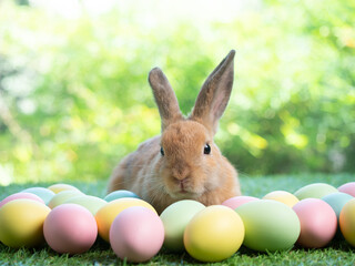 Orange rabbit sitting  with easter eggs on green grass and green nature background.