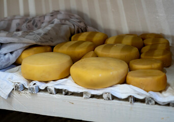 cheese left to dry on wooden pallet