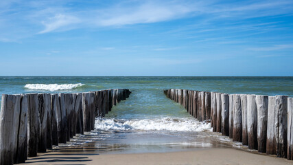 wooden breakwaters in the sea - Powered by Adobe