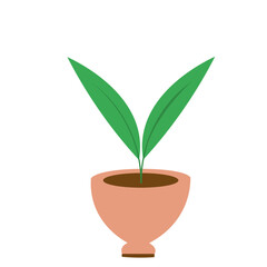 House Plant Element