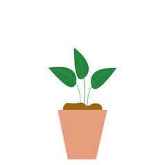 House Plant Element