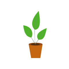 House Plant Element