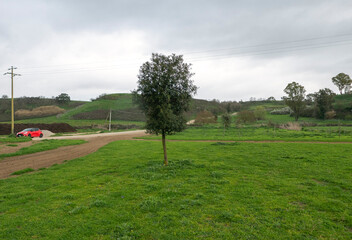una macchina rossa che spicca in un panorama plumbeo e rurale