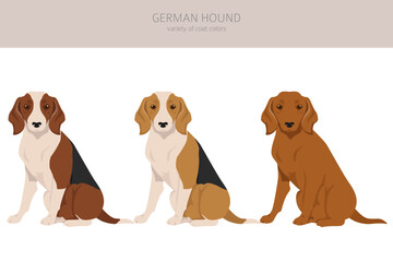 German Hound clipart. Different coat colors set