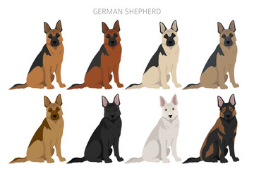 German shepherd dog  in different poses and coat colors clipart