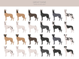 Great Dane clipart. Different poses, coat colors set