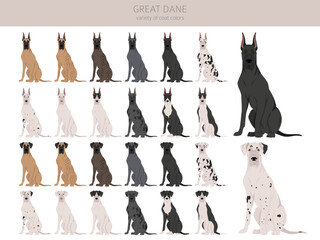 Great Dane clipart. Different poses, coat colors set