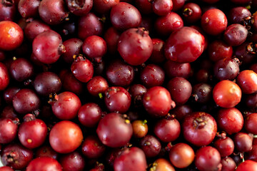 strawberry guava of various sizes