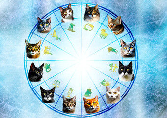 zodiac signs with illustrations of cats for each sign in horoscope  like astrology concept and background 