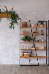 Bookshelf with plants and books over bright wall, empty space